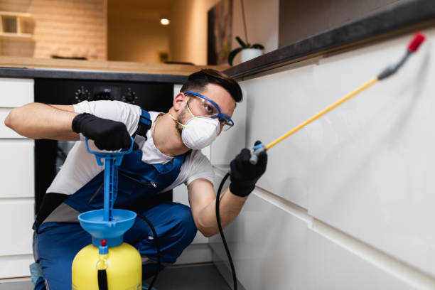Best Termite Control Services  in Longview, WA