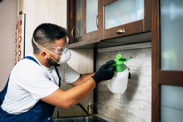 Best Best Pest Control Companies  in Longview, WA