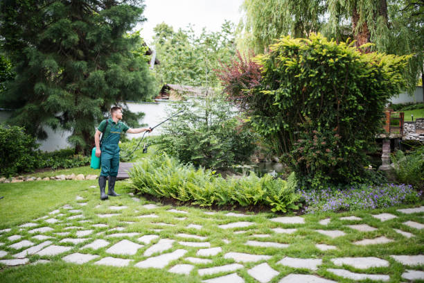 Best Pest Removal Services  in Longview, WA